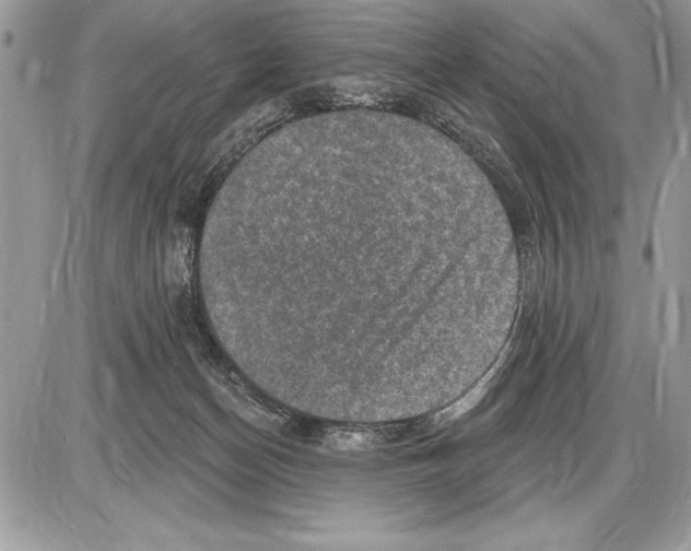 X0000085770174200704131812