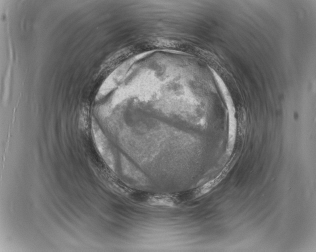 X0000085770175200704131812