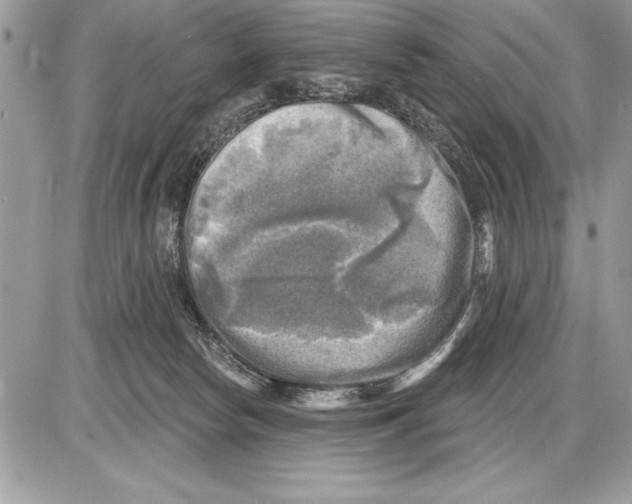 X0000085770178200704131813