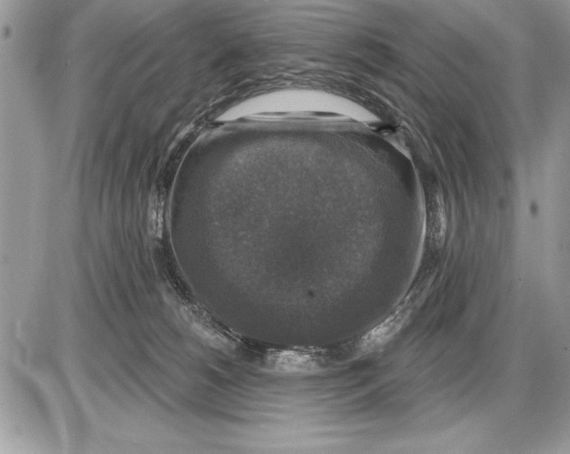 X0000085770180200704131813