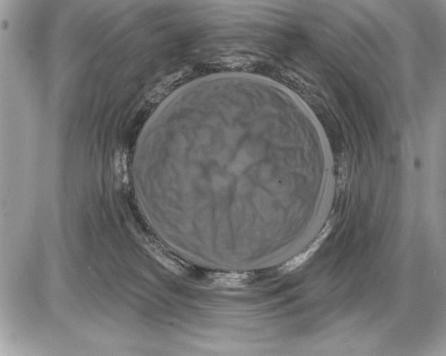 X0000085770182200704131813