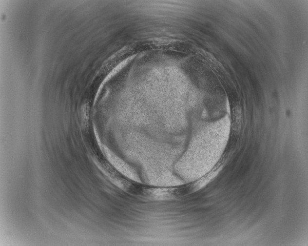 X0000085770184200704131813