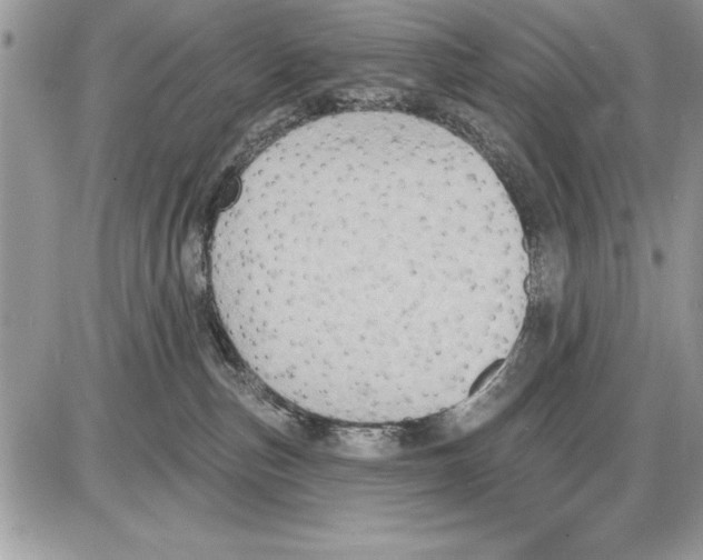 X0000085770187200704131813