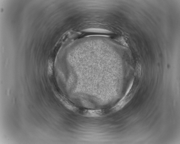 X0000085770188200704131813