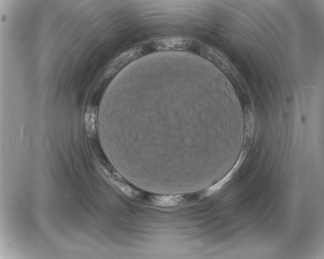 X0000085770191200704131813