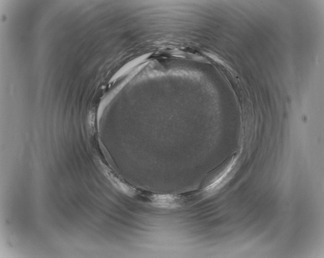 X0000085770192200704131813