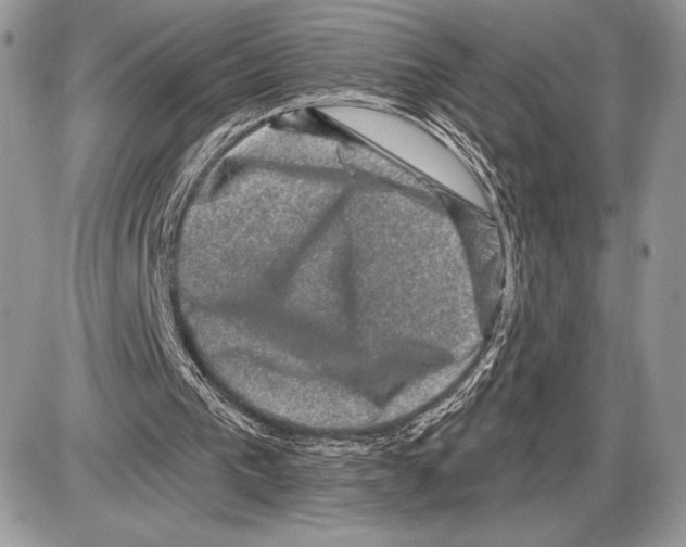 X0000085770193200704131812