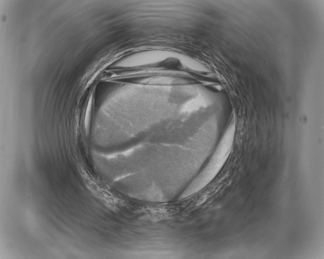 X0000085770194200704131812