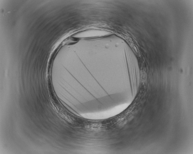 X0000085770196200704131812