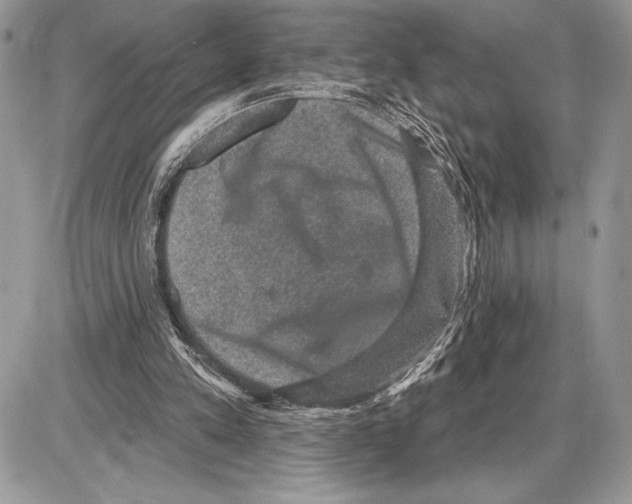 X0000085770197200704131812