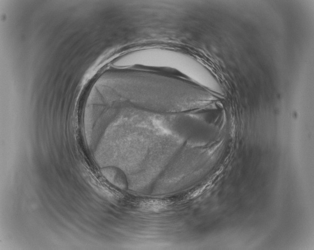 X0000085770198200704131812