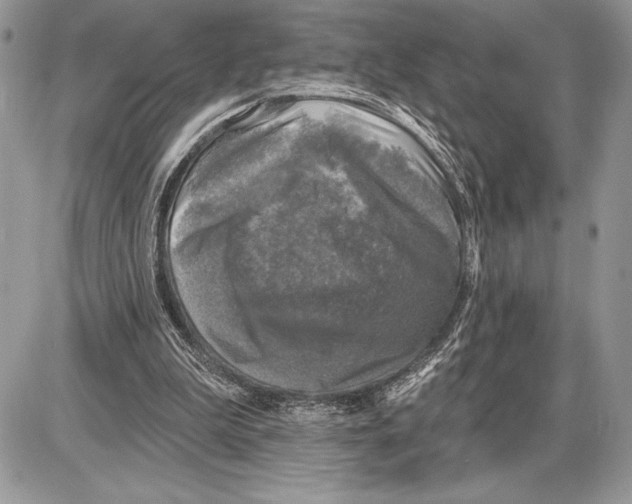 X0000085770199200704131812