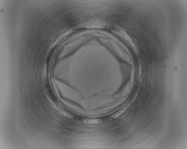 X0000085770202200704131812