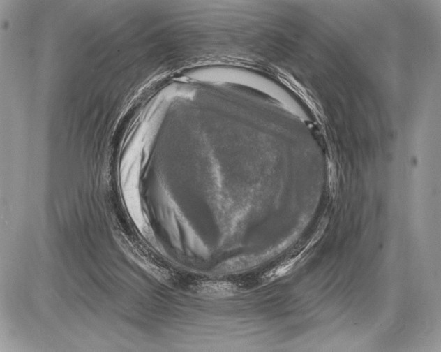 X0000085770203200704131812