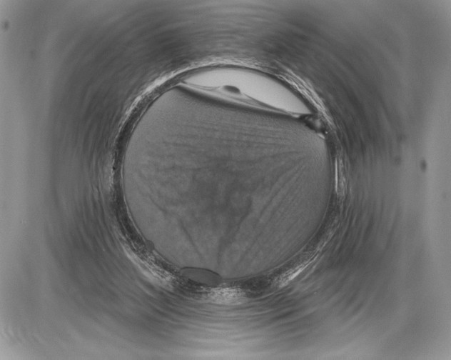 X0000085770204200704131812