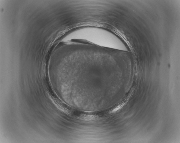 X0000085770205200704131812