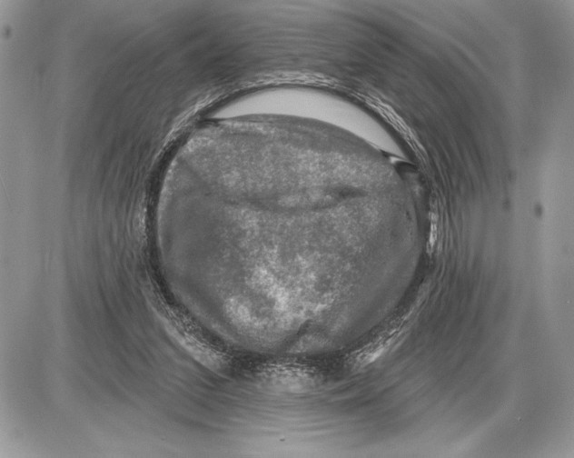 X0000085770207200704131812