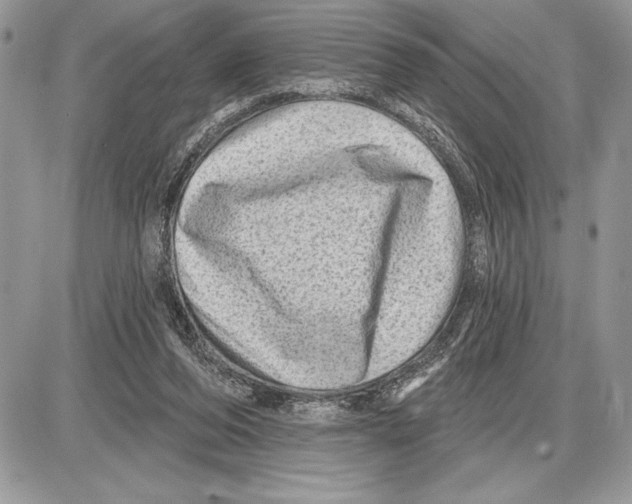 X0000085770208200704131812