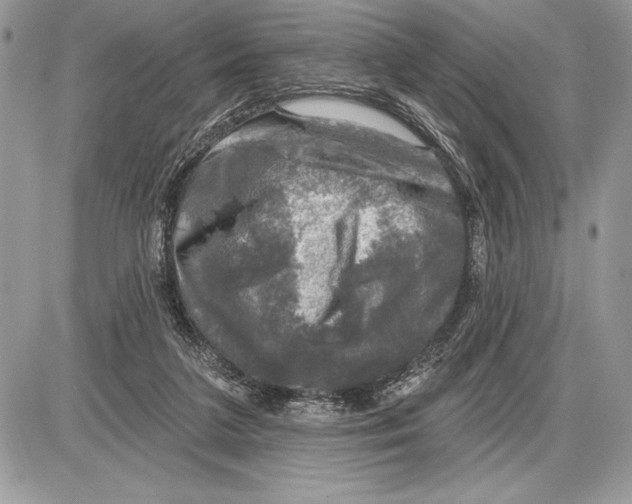 X0000085770211200704131812