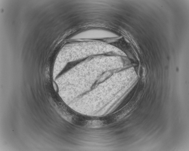 X0000085770212200704131812