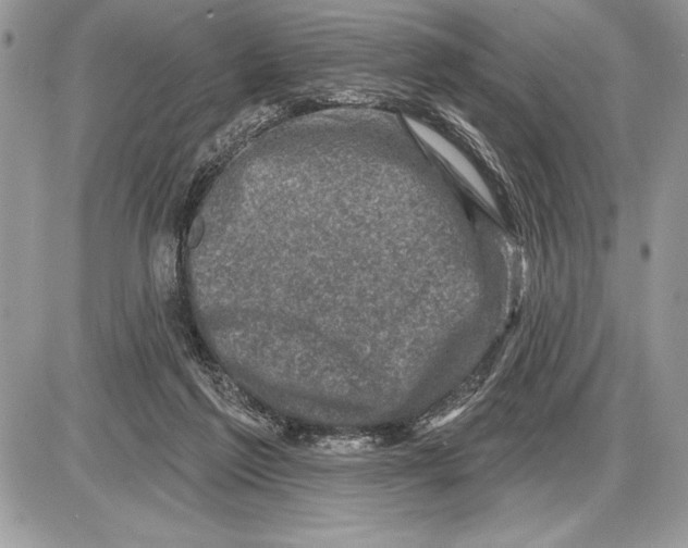 X0000085770213200704131812