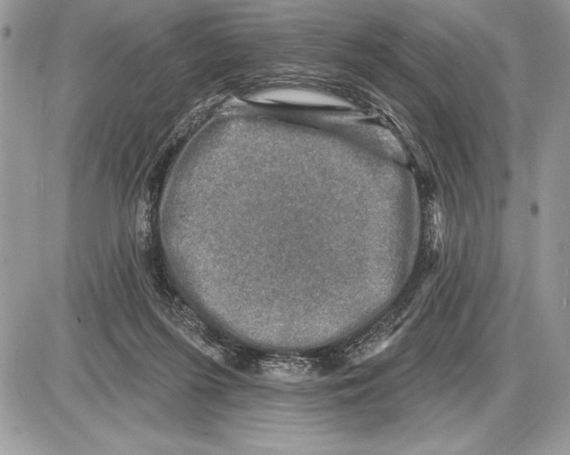 X0000085770215200704131812