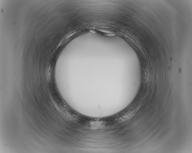 X0000085770216200704131812