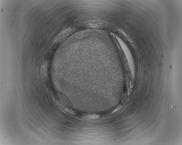 X0000085770217200704131812