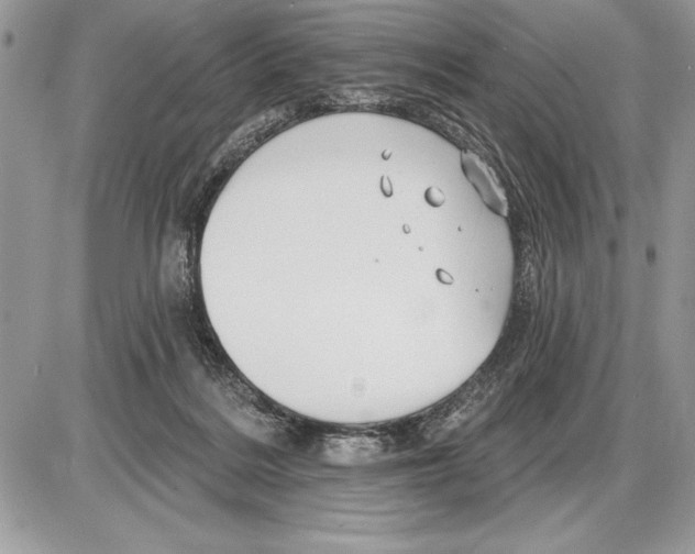 X0000085770220200704131812