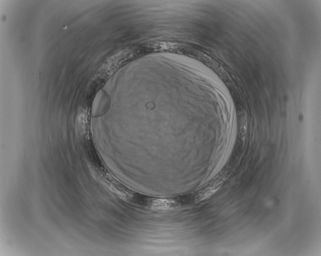 X0000085770222200704131811