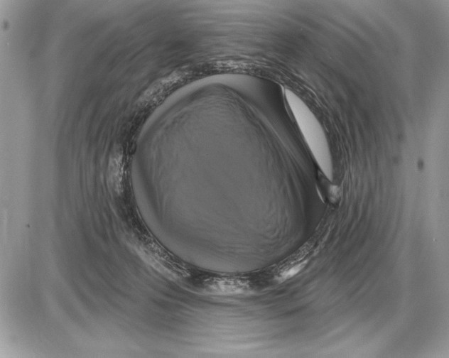 X0000085770223200704131811