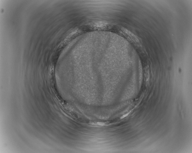 X0000085770225200704131811