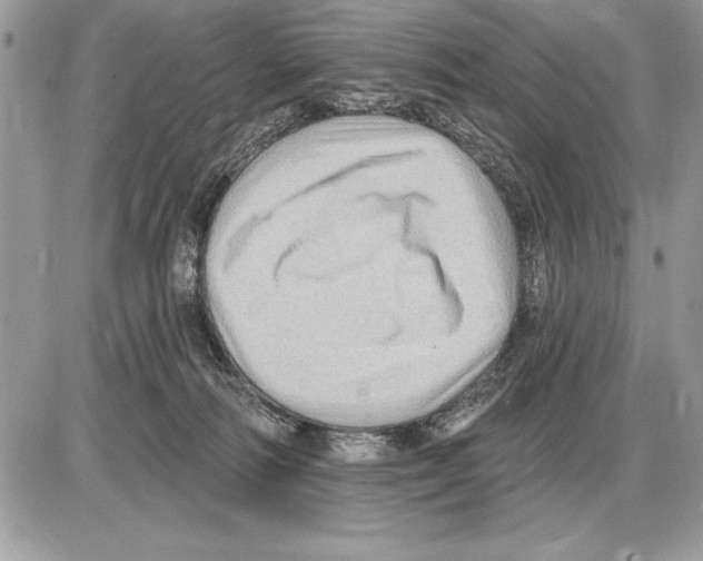 X0000085770226200704131811