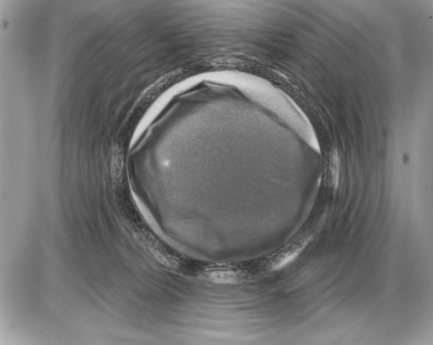 X0000085770228200704131811