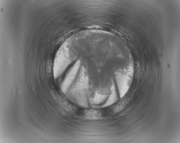 X0000085770230200704131811