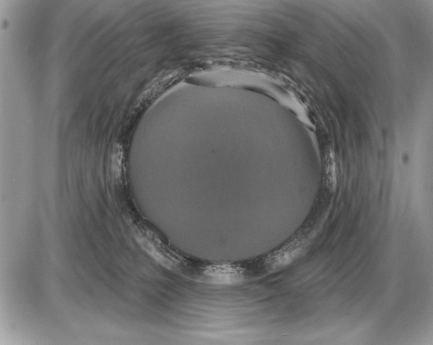 X0000085770231200704131811