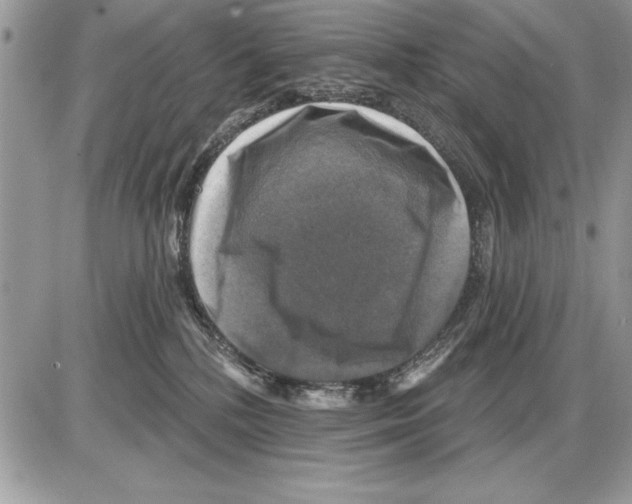 X0000085770232200704131811