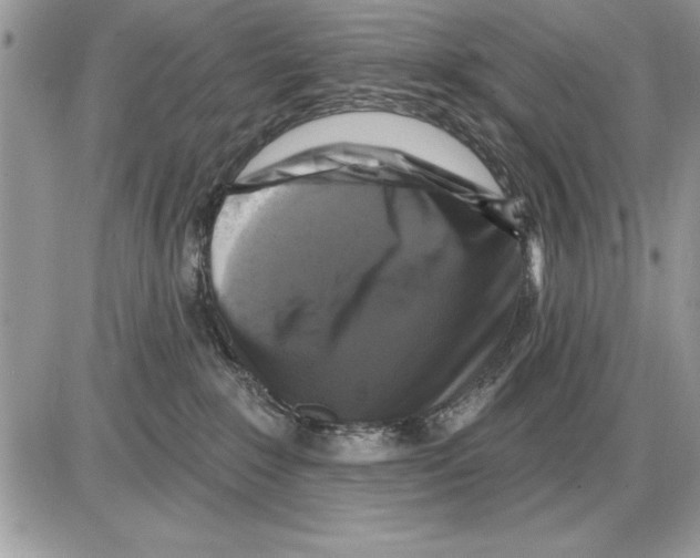 X0000085770235200704131811