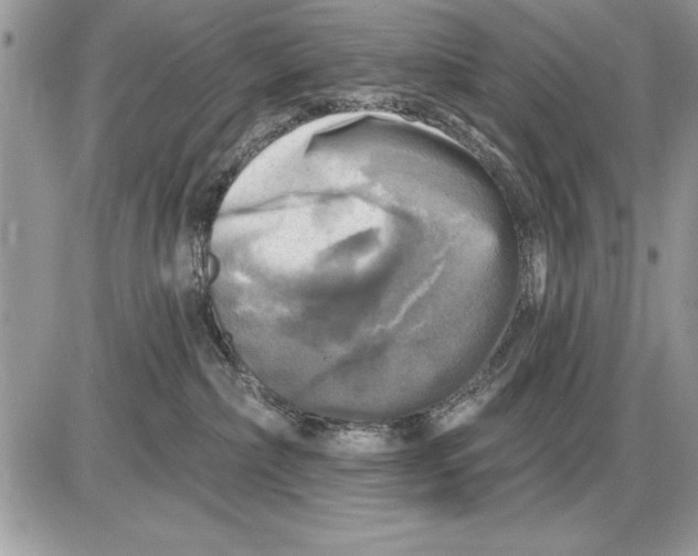 X0000085770236200704131811