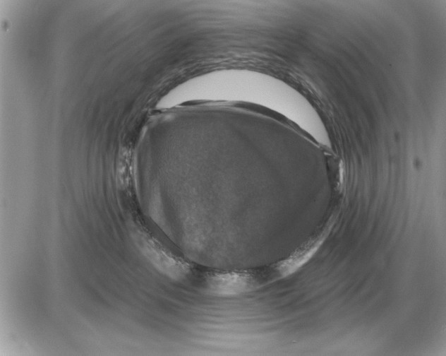 X0000085770237200704131811