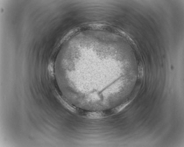 X0000085770238200704131811