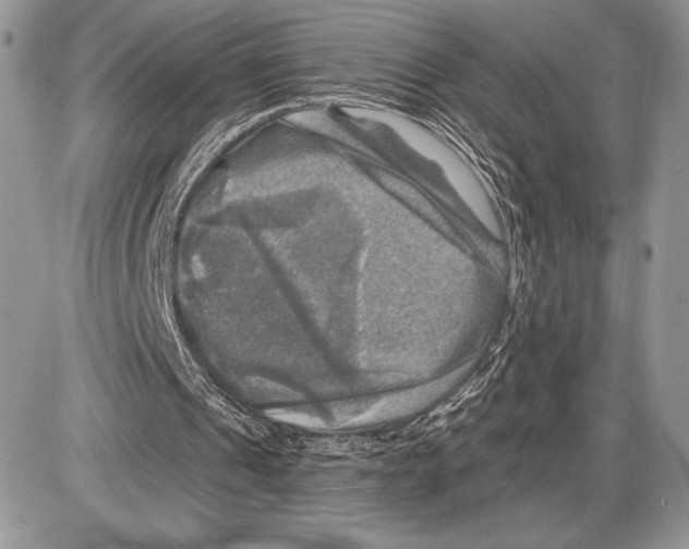 X0000085770241200704131810