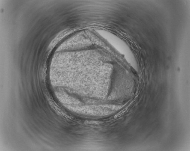 X0000085770242200704131810