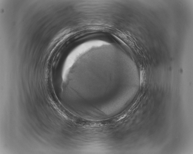 X0000085770243200704131810