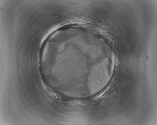 X0000085770244200704131810