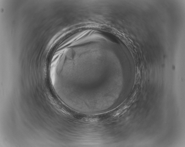 X0000085770247200704131810