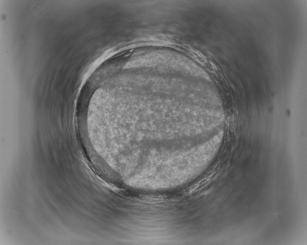 X0000085770248200704131811