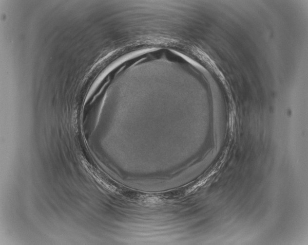 X0000085770249200704131811