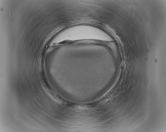 X0000085770250200704131811