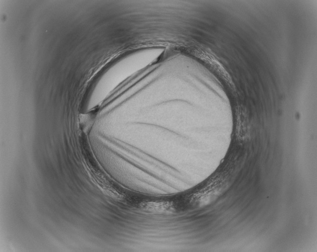 X0000085770251200704131811